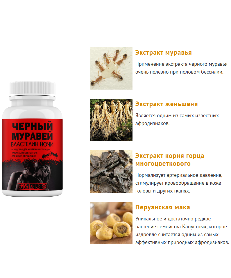 Черный муравей – заказать средство от эректильной дисфункции