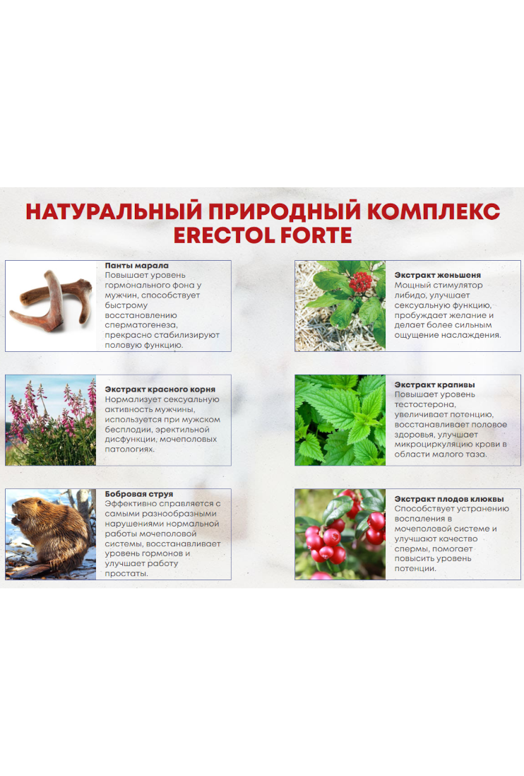 Erectol Forte - средство для потенции, усиление сексуальной активности и мужской силы