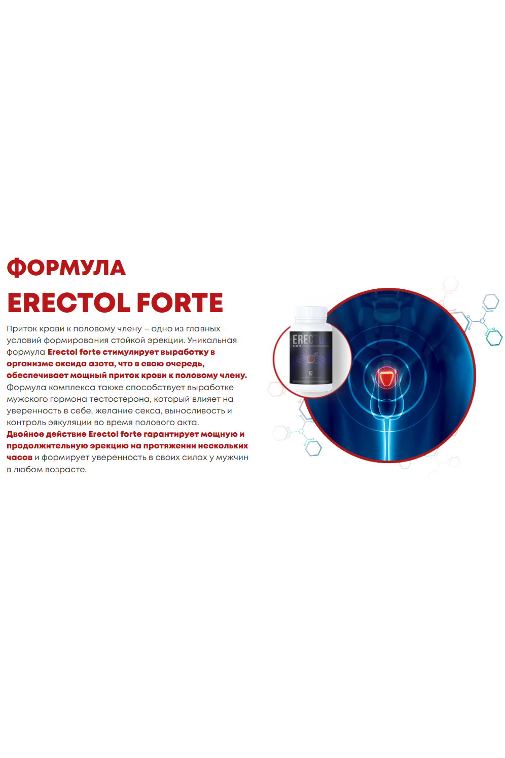 Erectol Forte - средство для потенции, улучшение мужской активности и либидо