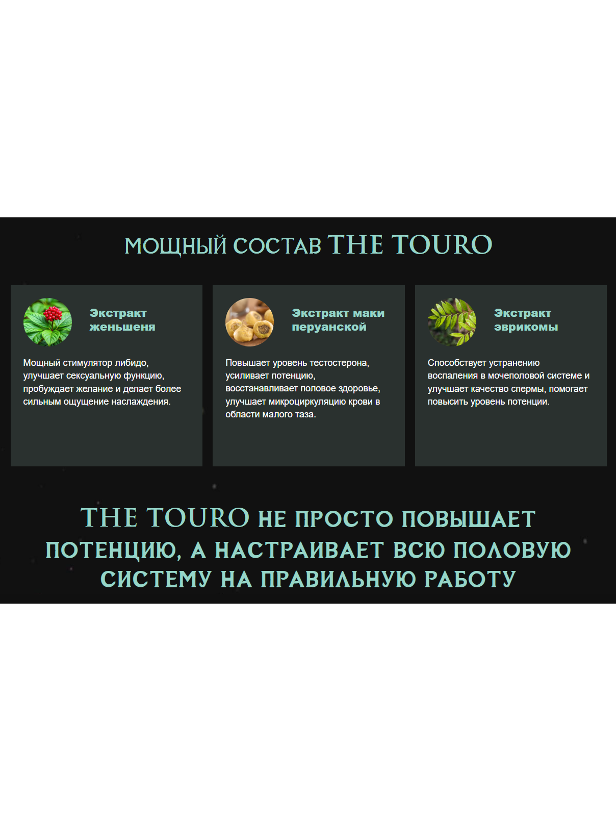 Лучший препарат The Touro для повышения потенции