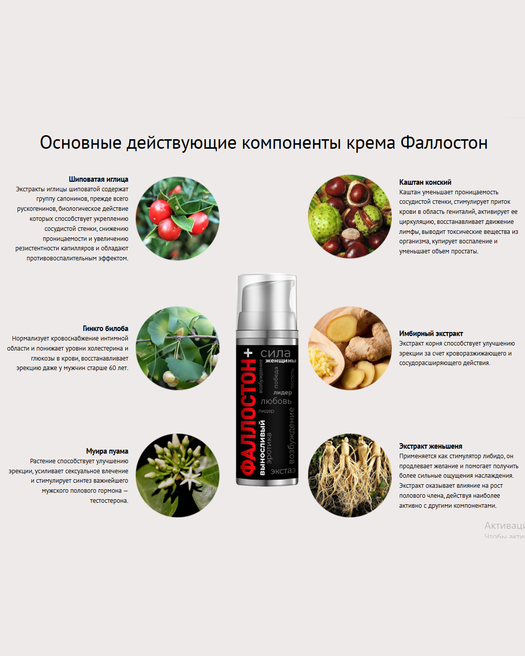 Фаллостон - эффективное средство для увеличения мужского члена, цена и отзывы