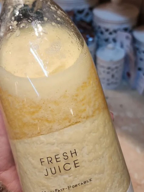 Отзыв о портативном смузи блендере Fresh Juice