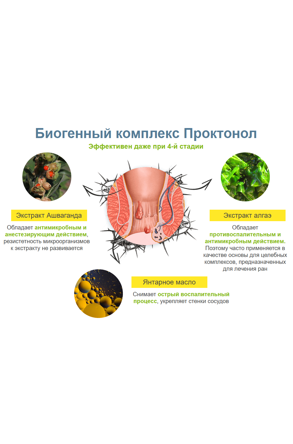 Проктонол — средство от геморроя для женщин