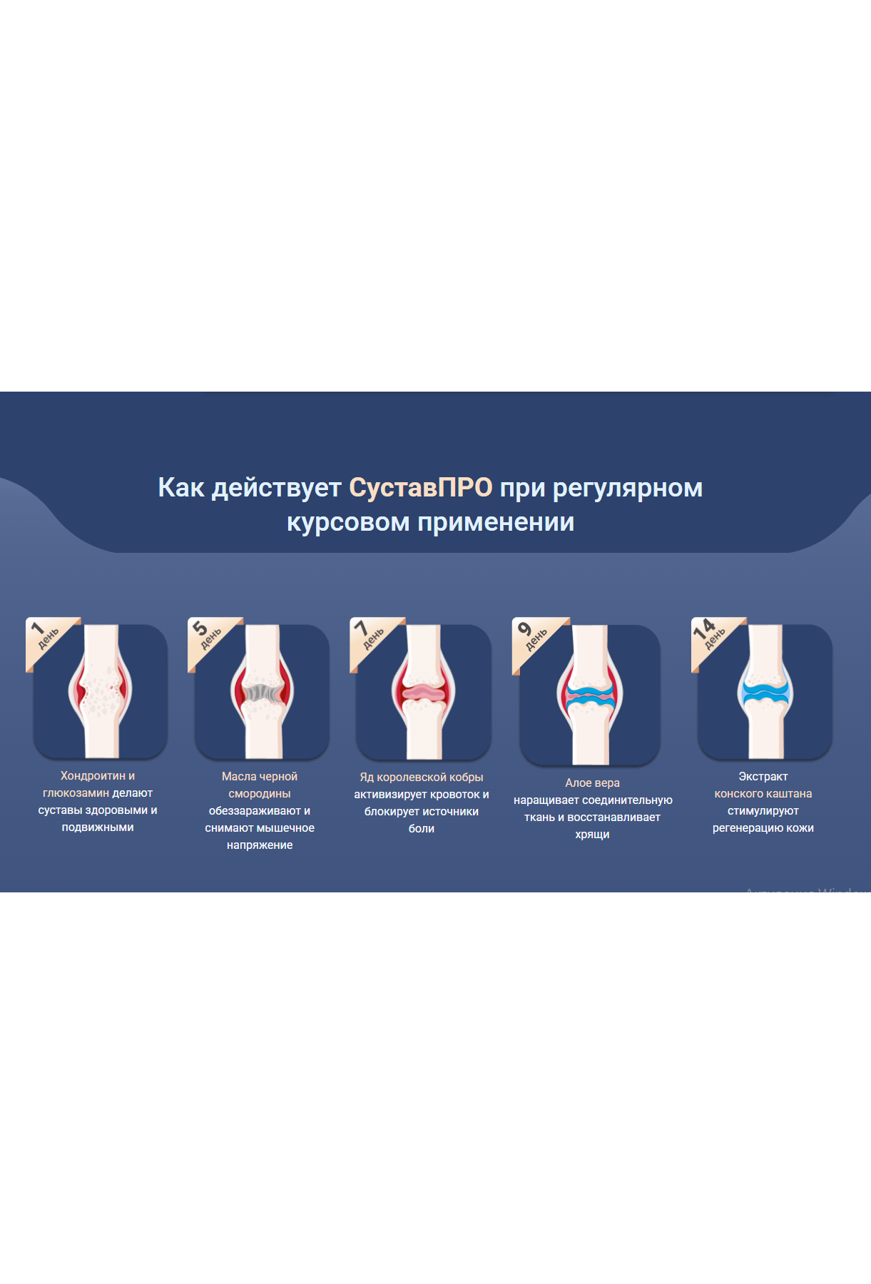 СуставПро отзывы покупателей о геле