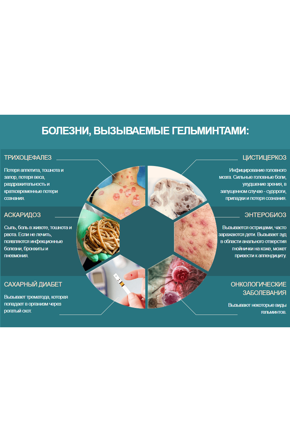 Лисички Био-Чистка — средство для поддержания здоровья и очищения