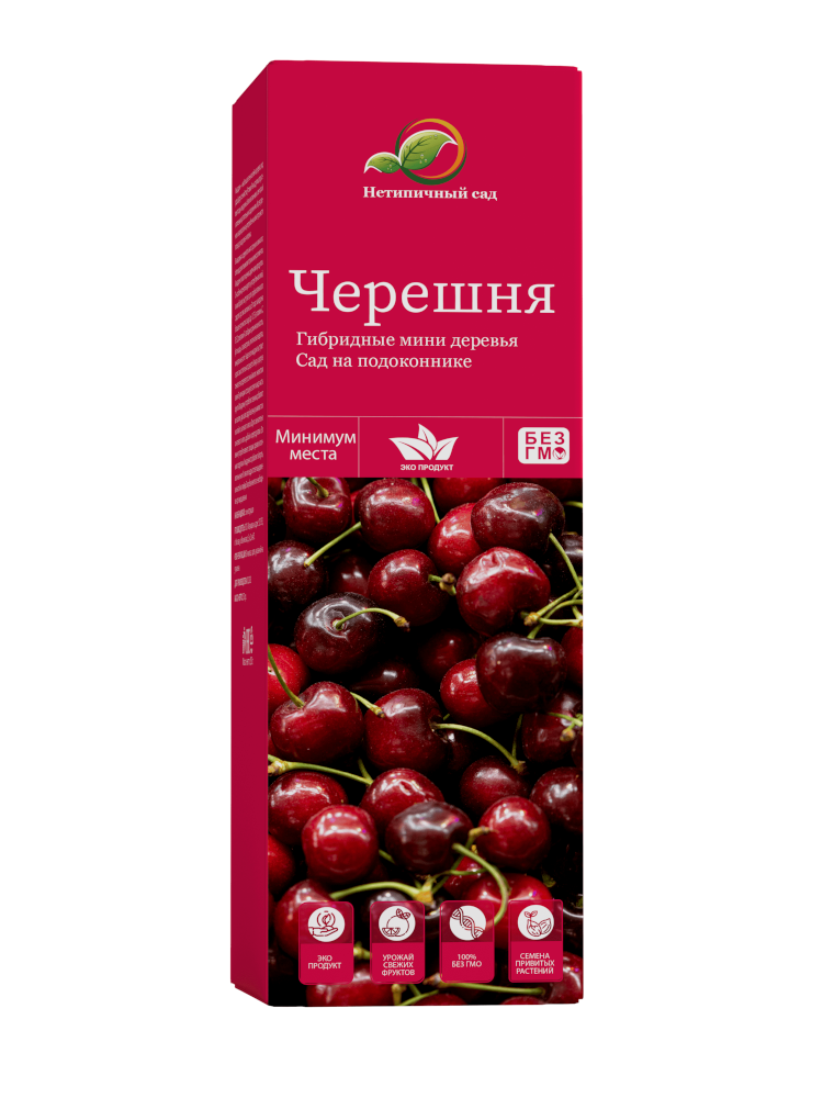 Черешня — набор для выращивания мини дерева дома