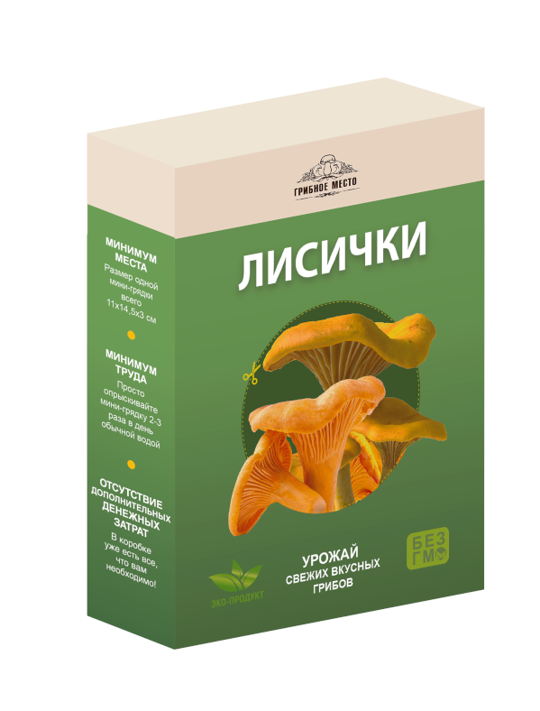 Домашняя грибница — набор для выращивания грибов дома