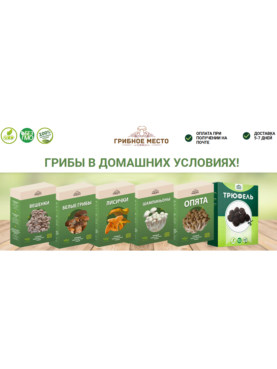 Семена белых грибов, семена грибов для выращивания