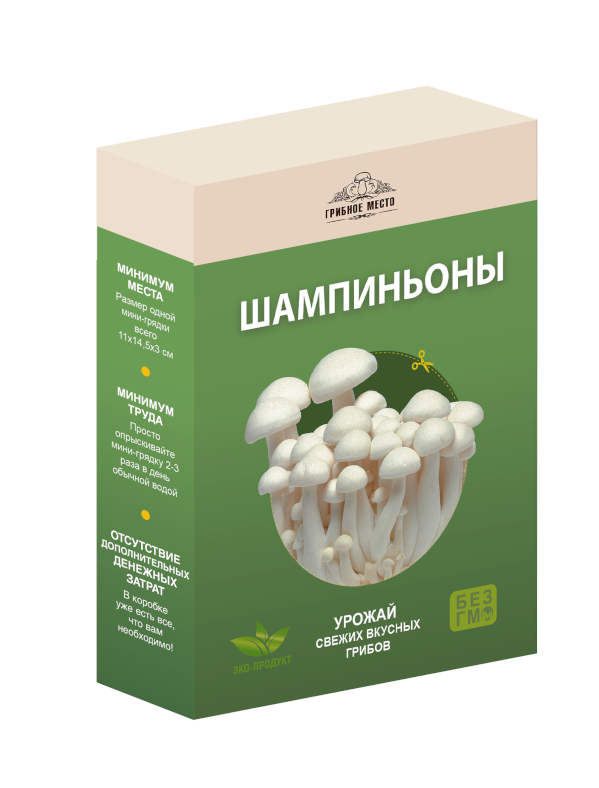 Как сделать домашнюю грибницу — выращивание грибов дома