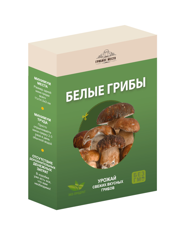 Домашняя грибница вешенки, семена белых грибов