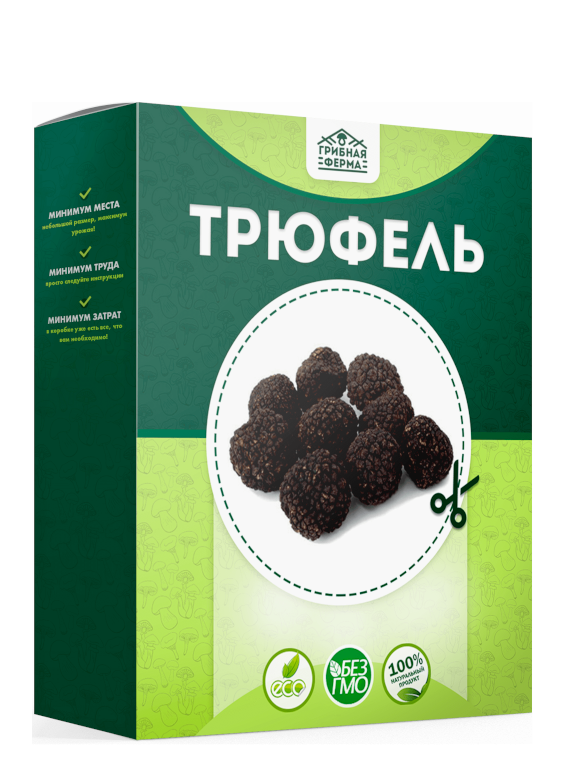 Семена грибов для выращивания, купить семена белых грибов