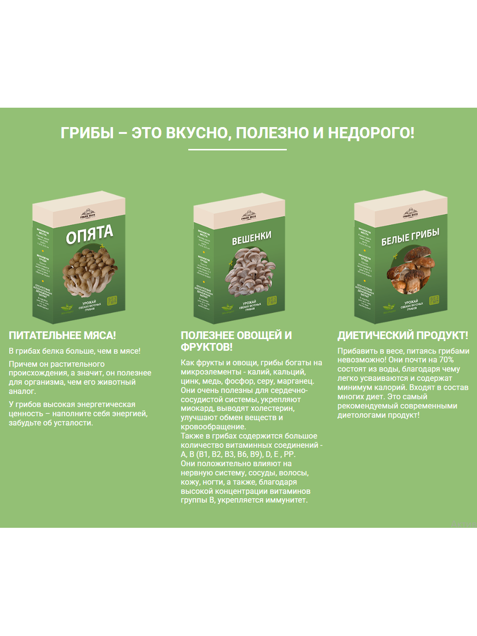 Домашняя грибница выращивание, купить семена грибов
