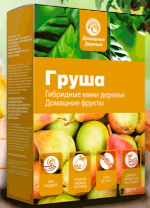 Гибридные мини-деревья Fruit Tree — купить семена для посадки