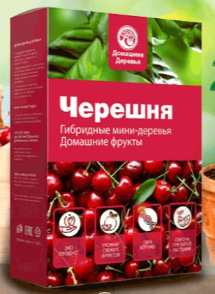 Лучшие семена гибридных мини-деревьев для посадки дома и на даче