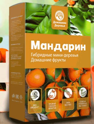 Семена для посадки гибридных деревьев Fruit Tree оптом и в розницу