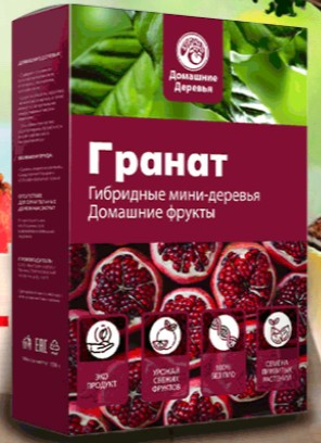 Гибридный мандарин Fruit Tree дерево в горшке