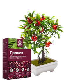 Инновационный гибрид Fruit Tree лимон мандарин