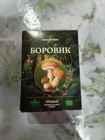 Отзыв на семена грибов Боровик для выращивания дома и на даче