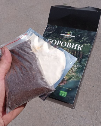 Готовый набор — выращивание грибов боровиков отзыв покупателя