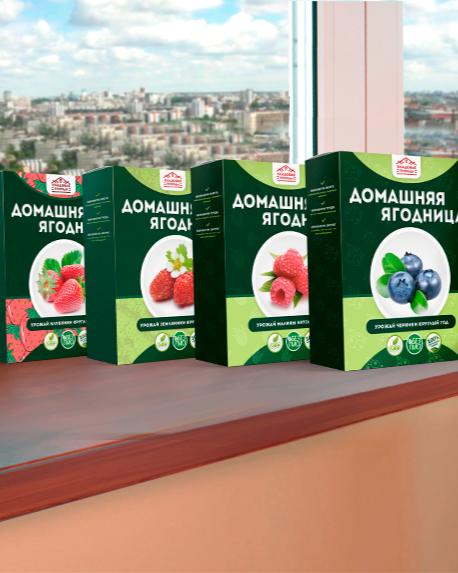Кладовая природы — Домашняя ягодница для посадки малины, клубники и черники