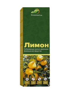 Minitrees Lemon — гибридные мини-деревья для посадки дома