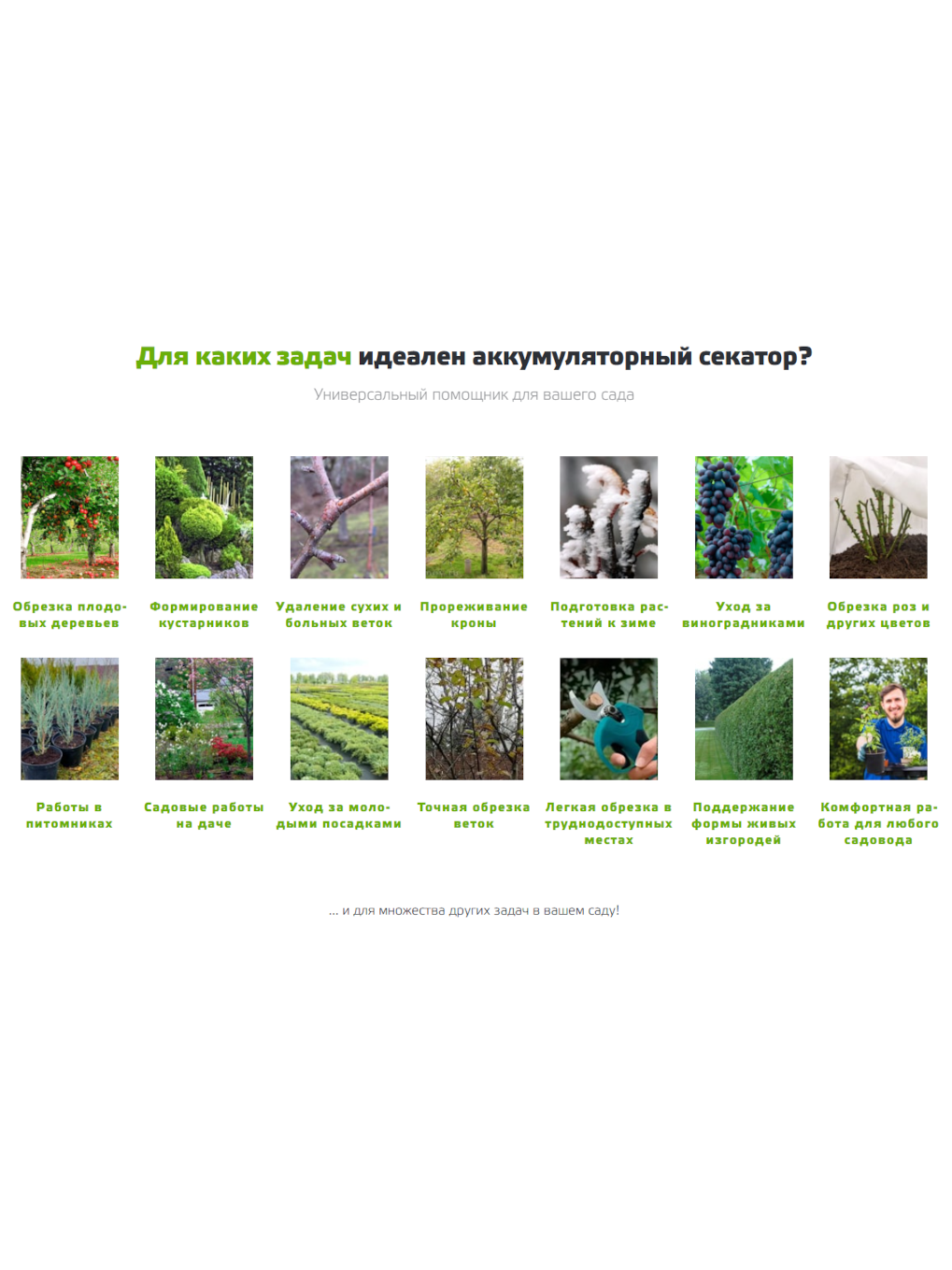 Удобный аккумуляторный секатор Makita в саду
