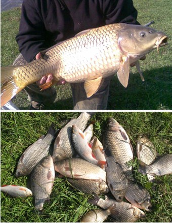 Активатор клева рыбы FISH HUNT для успешной рыбалки